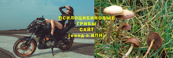 ГАЛЛЮЦИНОГЕННЫЕ ГРИБЫ Алзамай